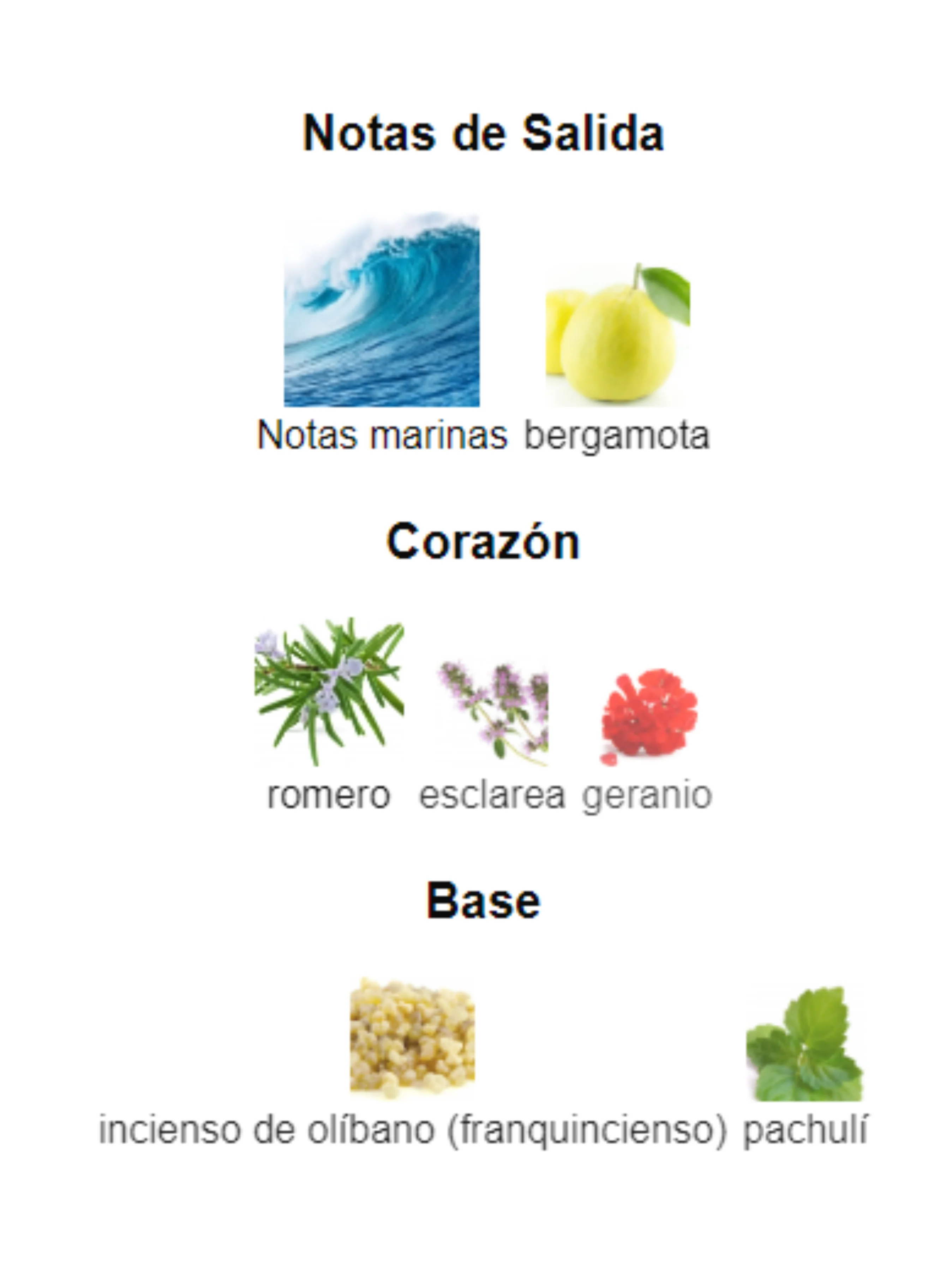 Acqua Di Gio Parfum - Armani - Image 3