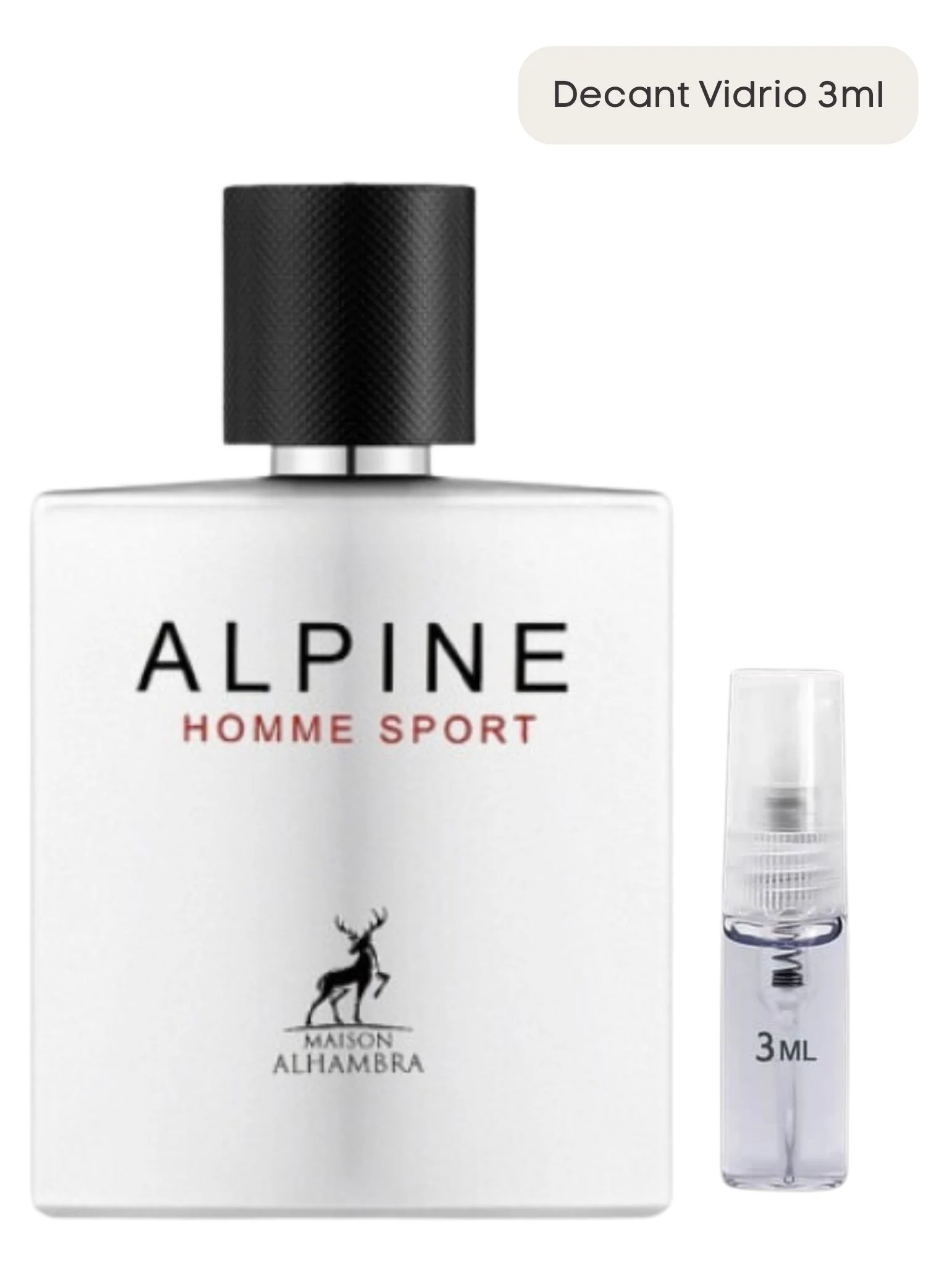 Alpine Homme Sport - Maison Alhambra - Image 4
