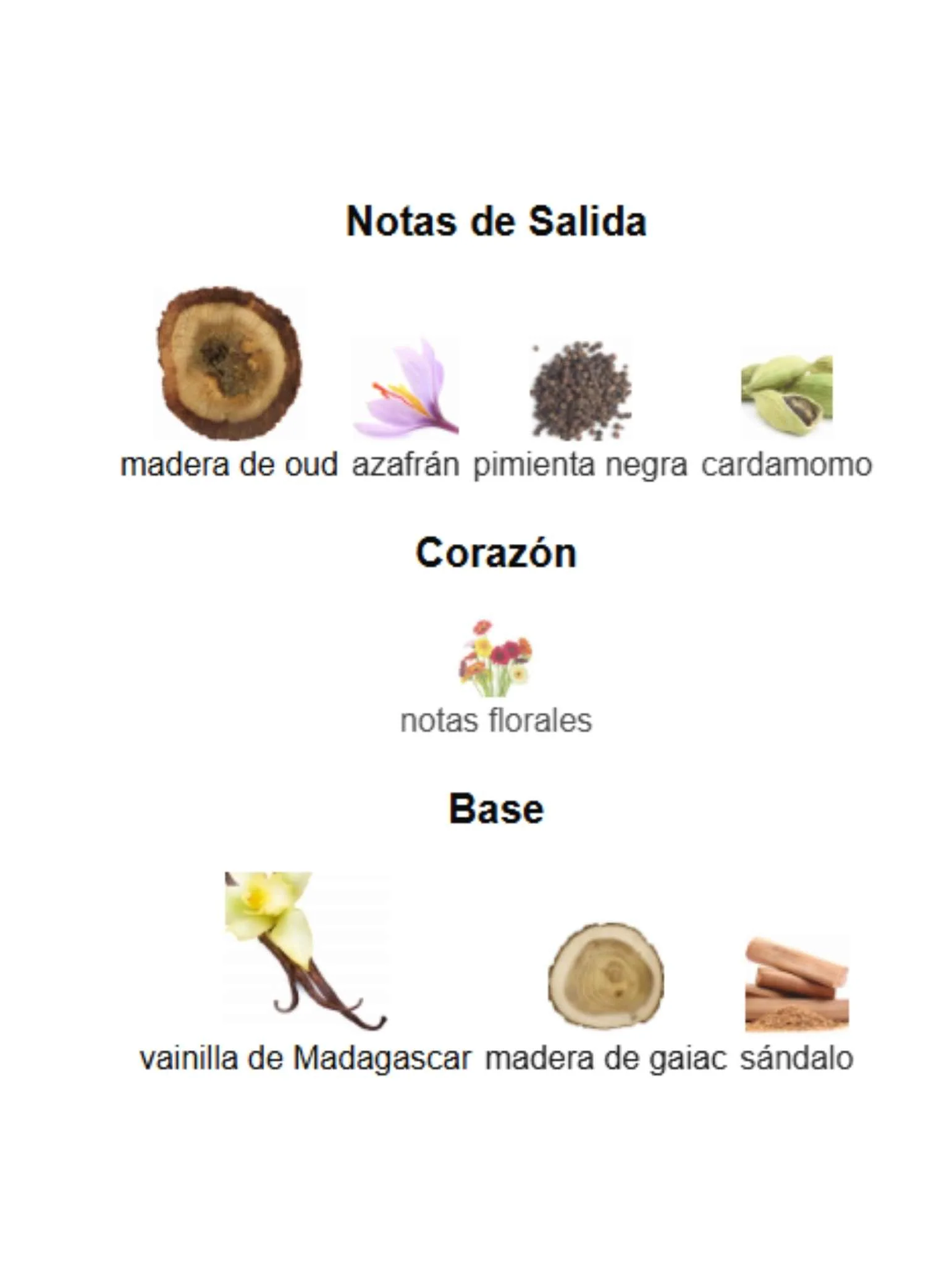 Aoud Vanille - Mancera - Image 3