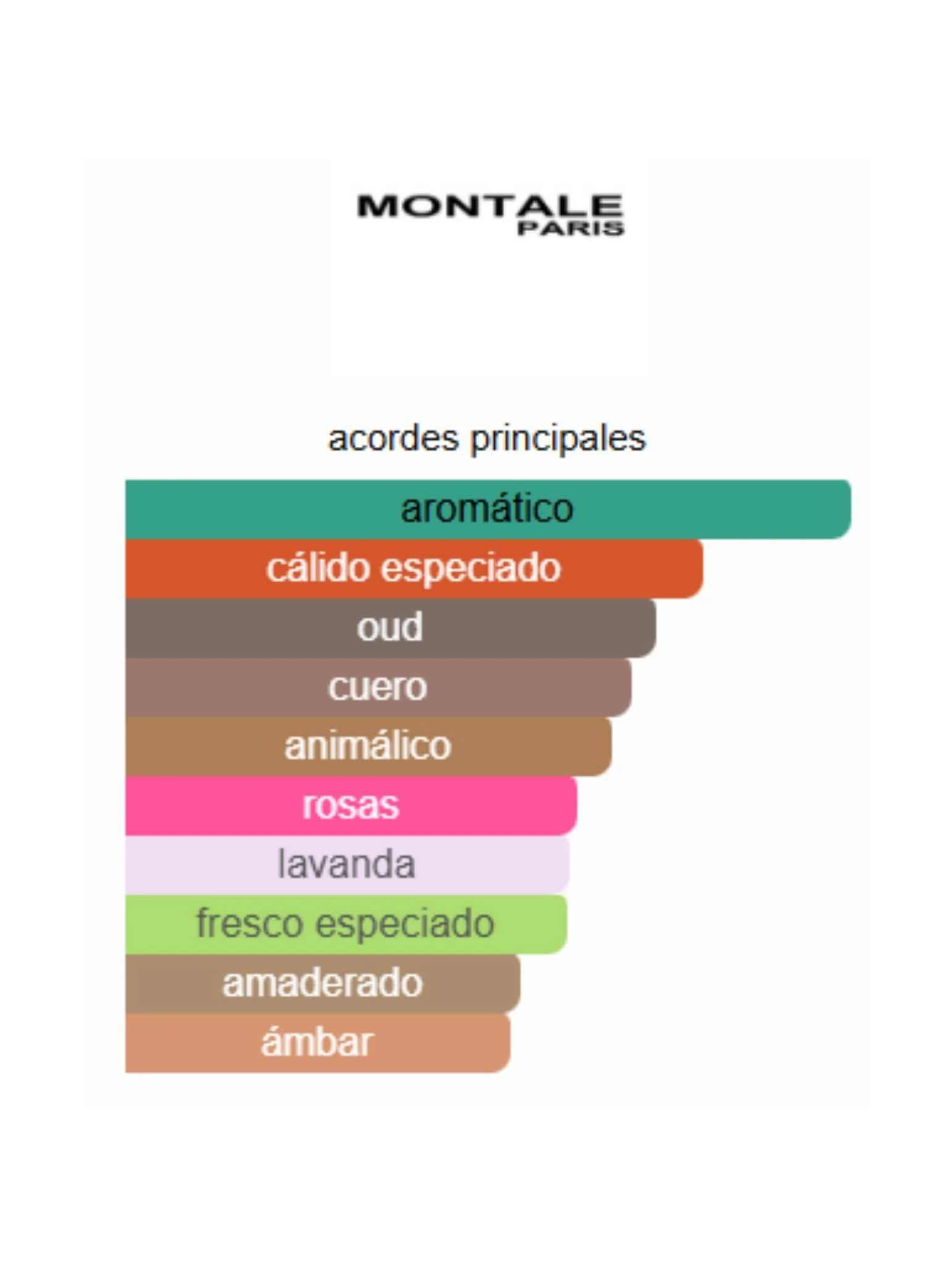 Arabians - Montale - Image 2