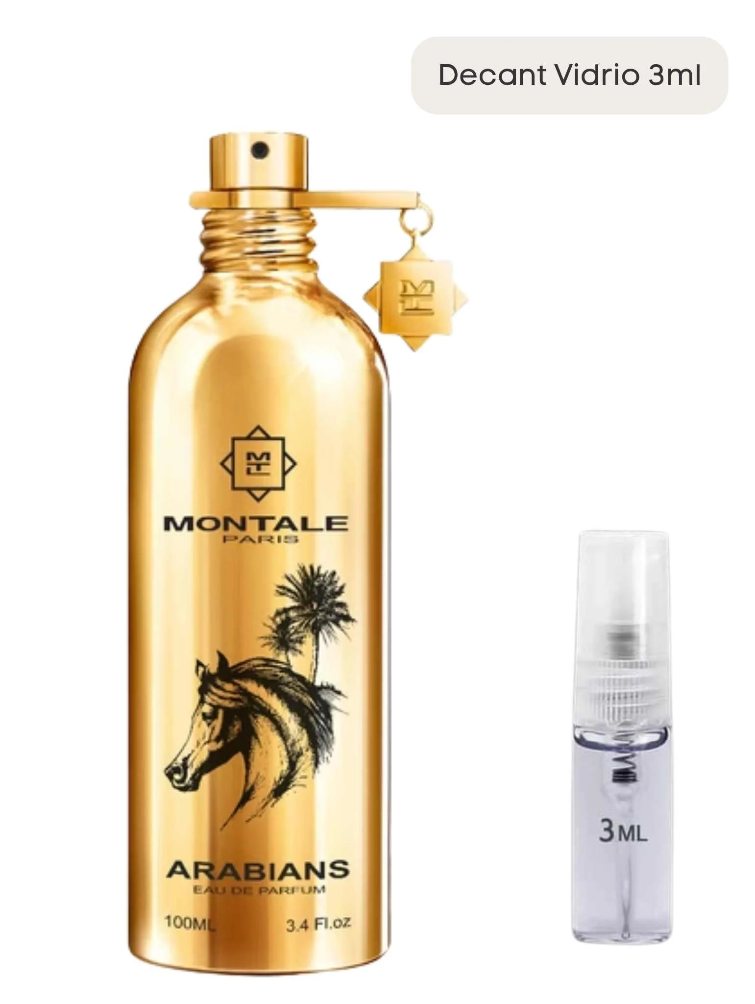 Arabians - Montale - Image 4