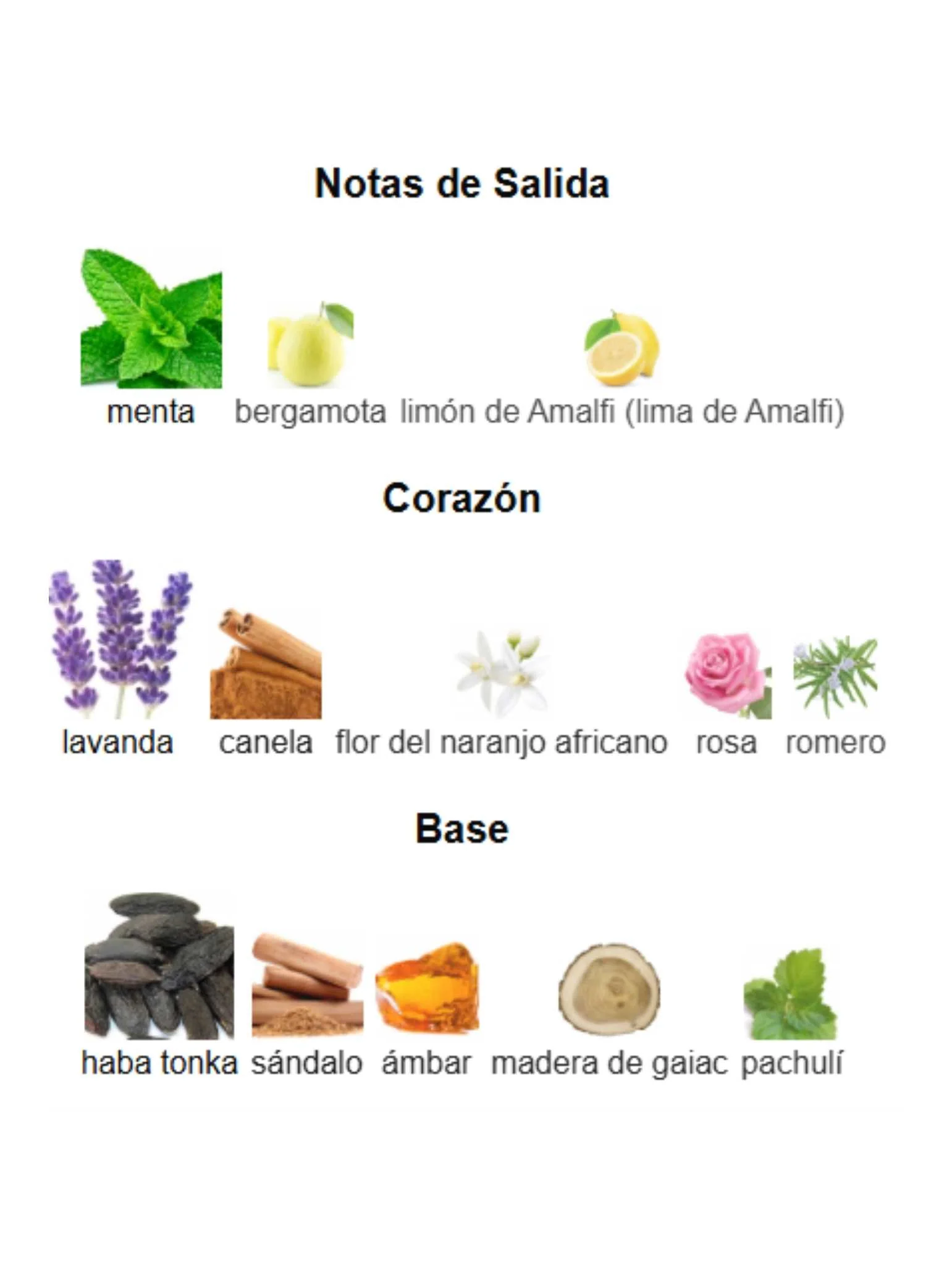 Darley - Parfums de Marly - Image 3