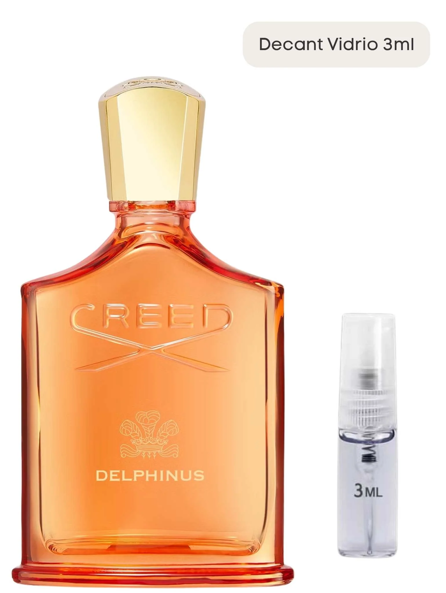 Delphinus - Creed - Image 4