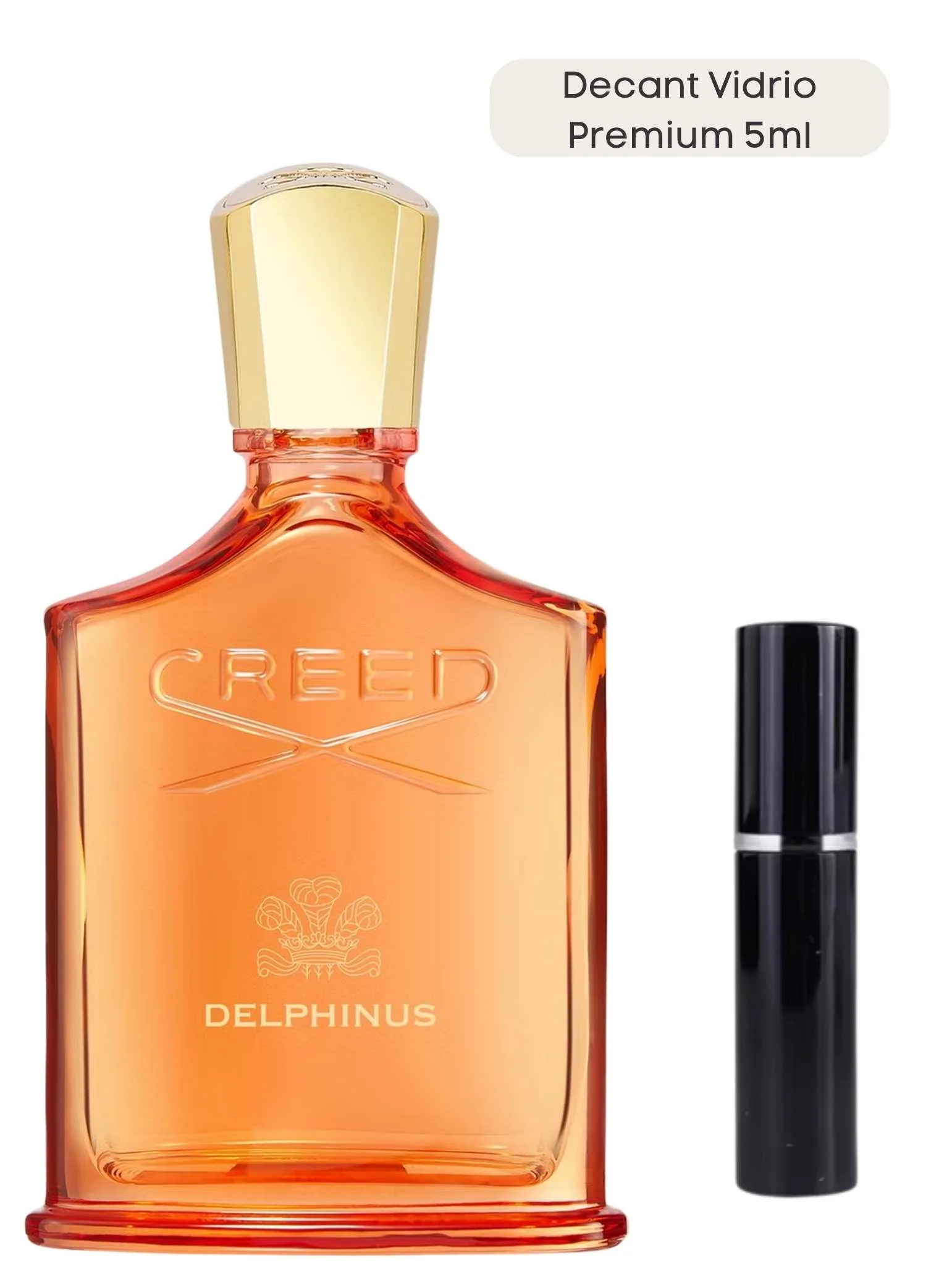 Delphinus - Creed - Image 5