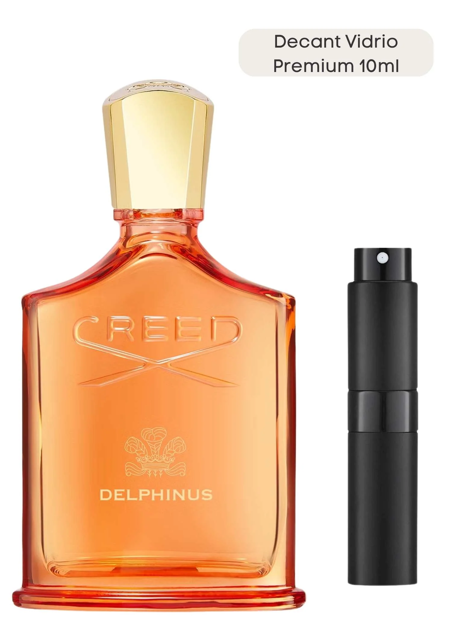 Delphinus - Creed - Image 6