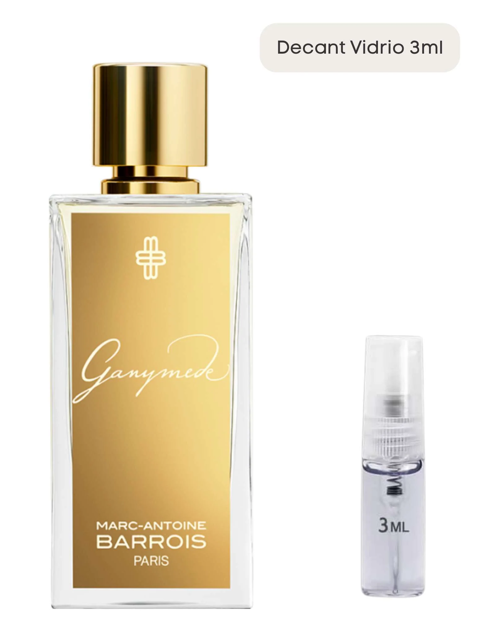 Ganymede -  Marc-Antoine Barrois - Image 4