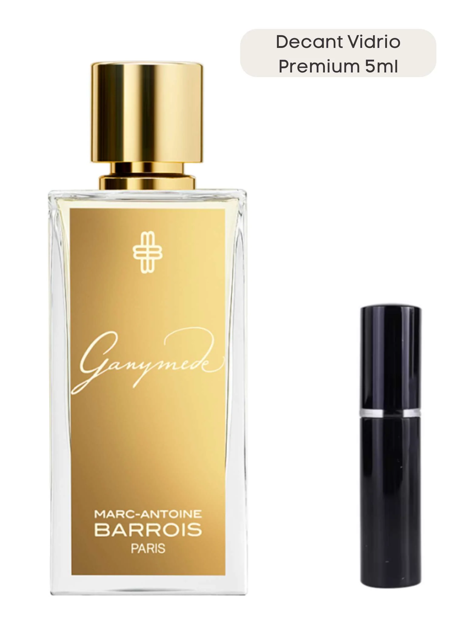 Ganymede -  Marc-Antoine Barrois - Image 5