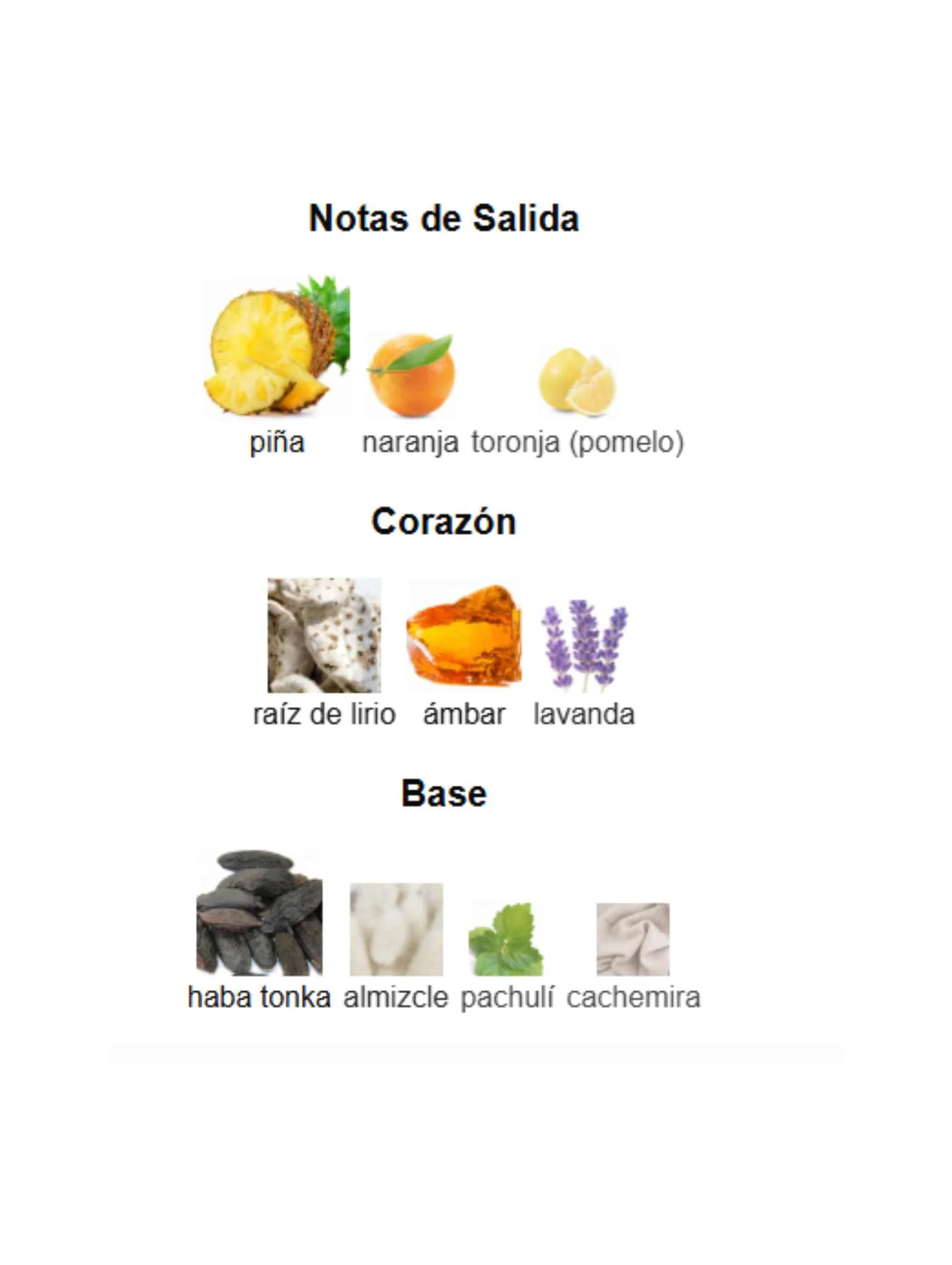 Hawas Malibu - 100ml (Rasasi) - Image 3