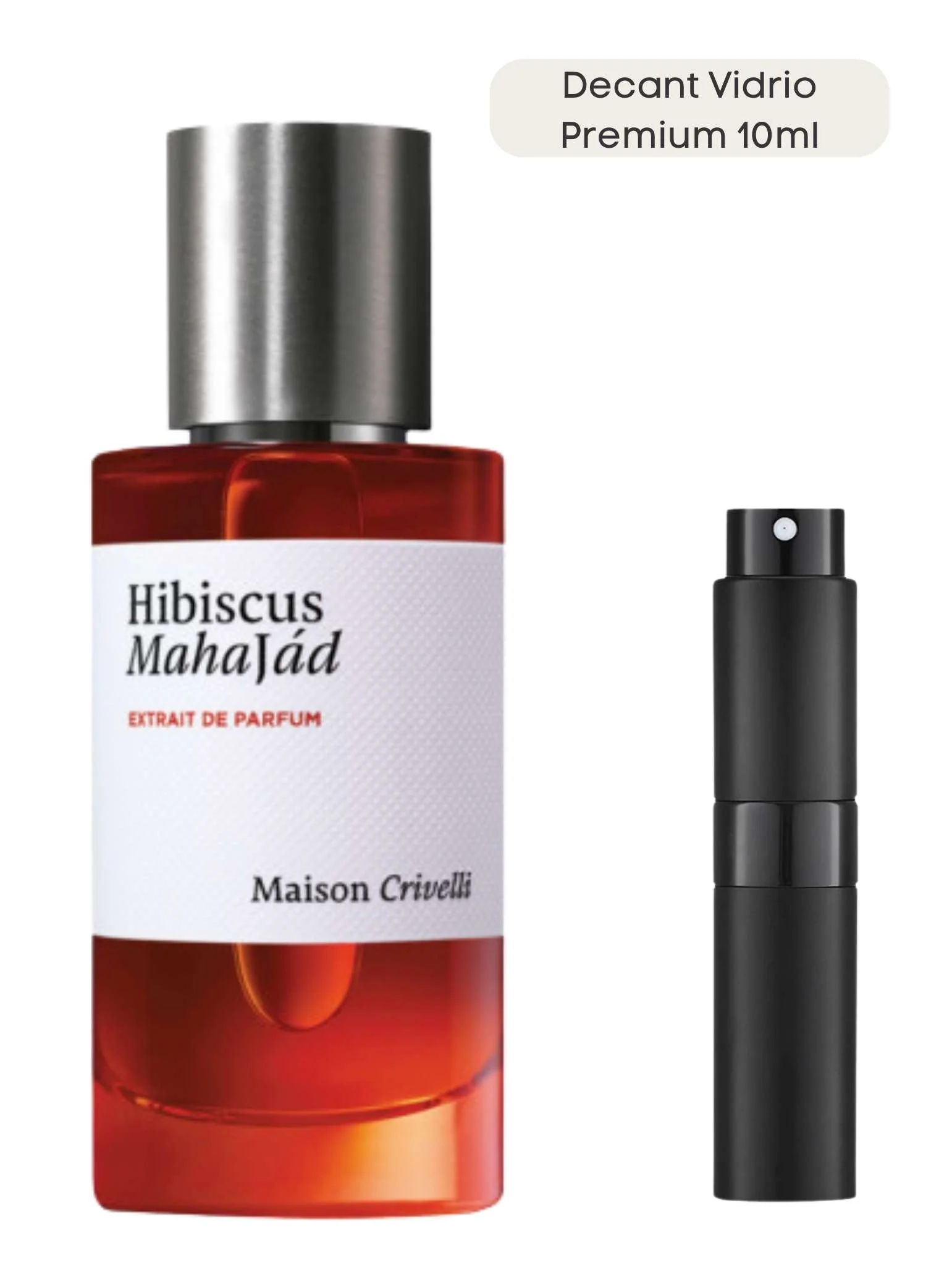 Hibiscus Mahajád - Maison Crivelli - Image 6