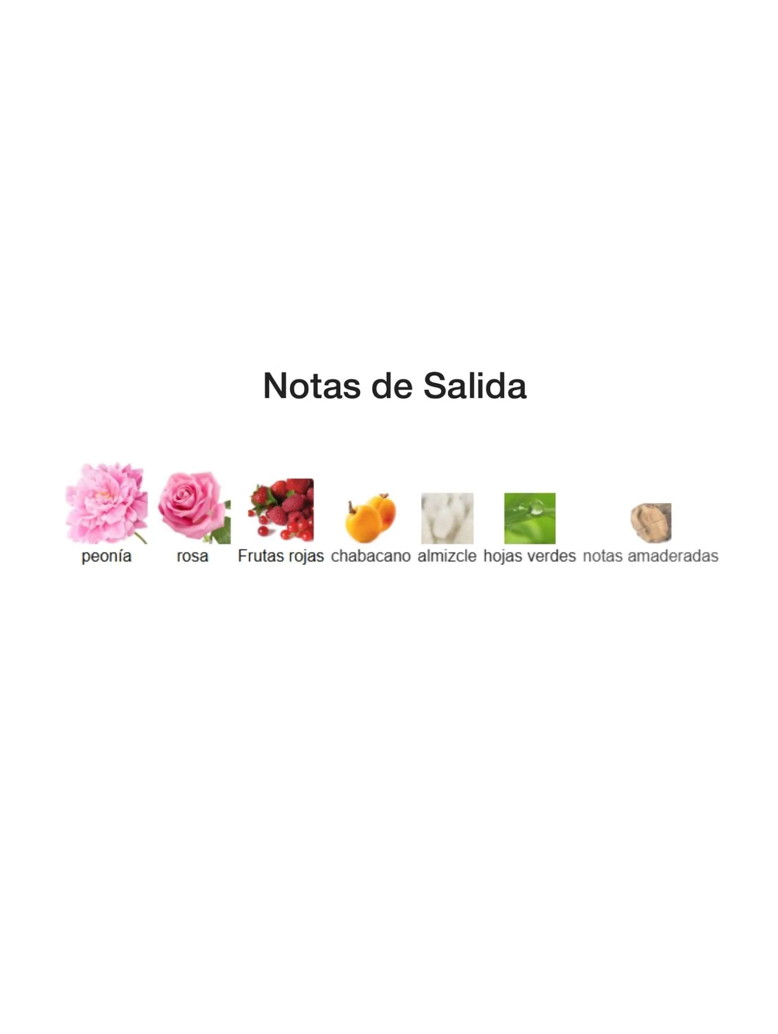 Holy Peony - Dior - Image 3