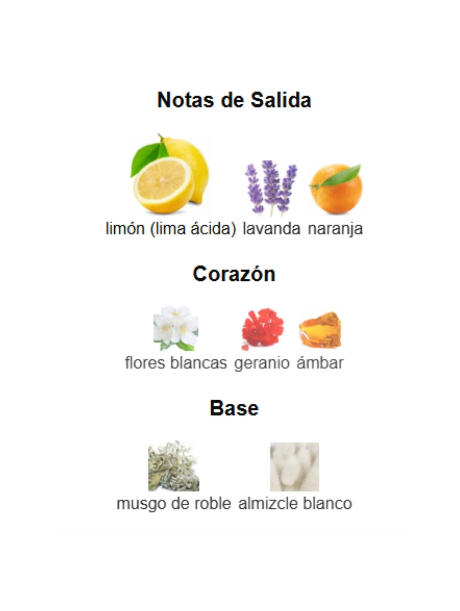 Lemon Lime - Mancera - Image 3