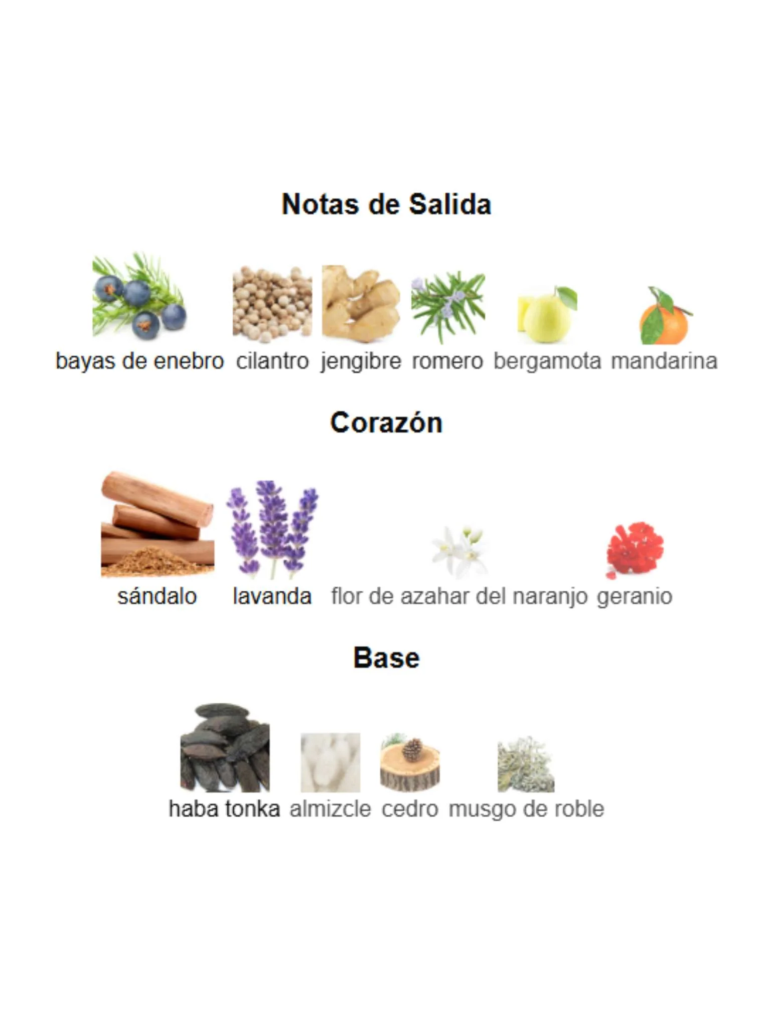 Original Santal - Creed - Image 3