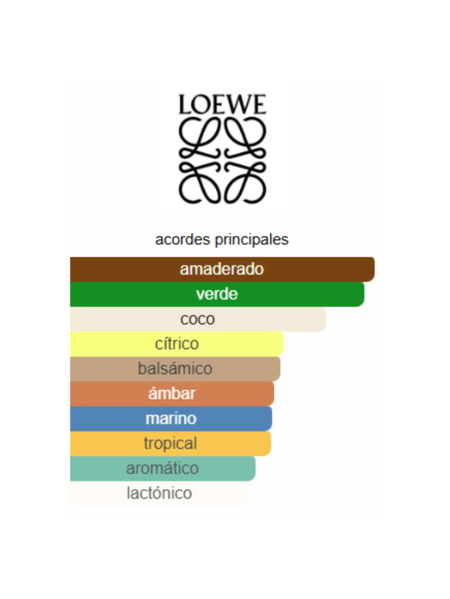 Paula's Ibiza - Loewe - Image 2