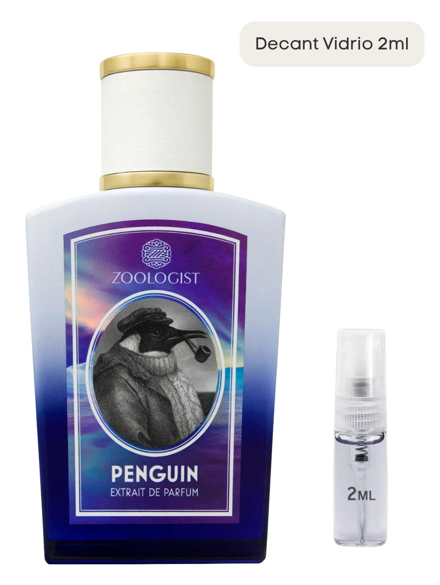 Penguin - Zoologist - Image 4