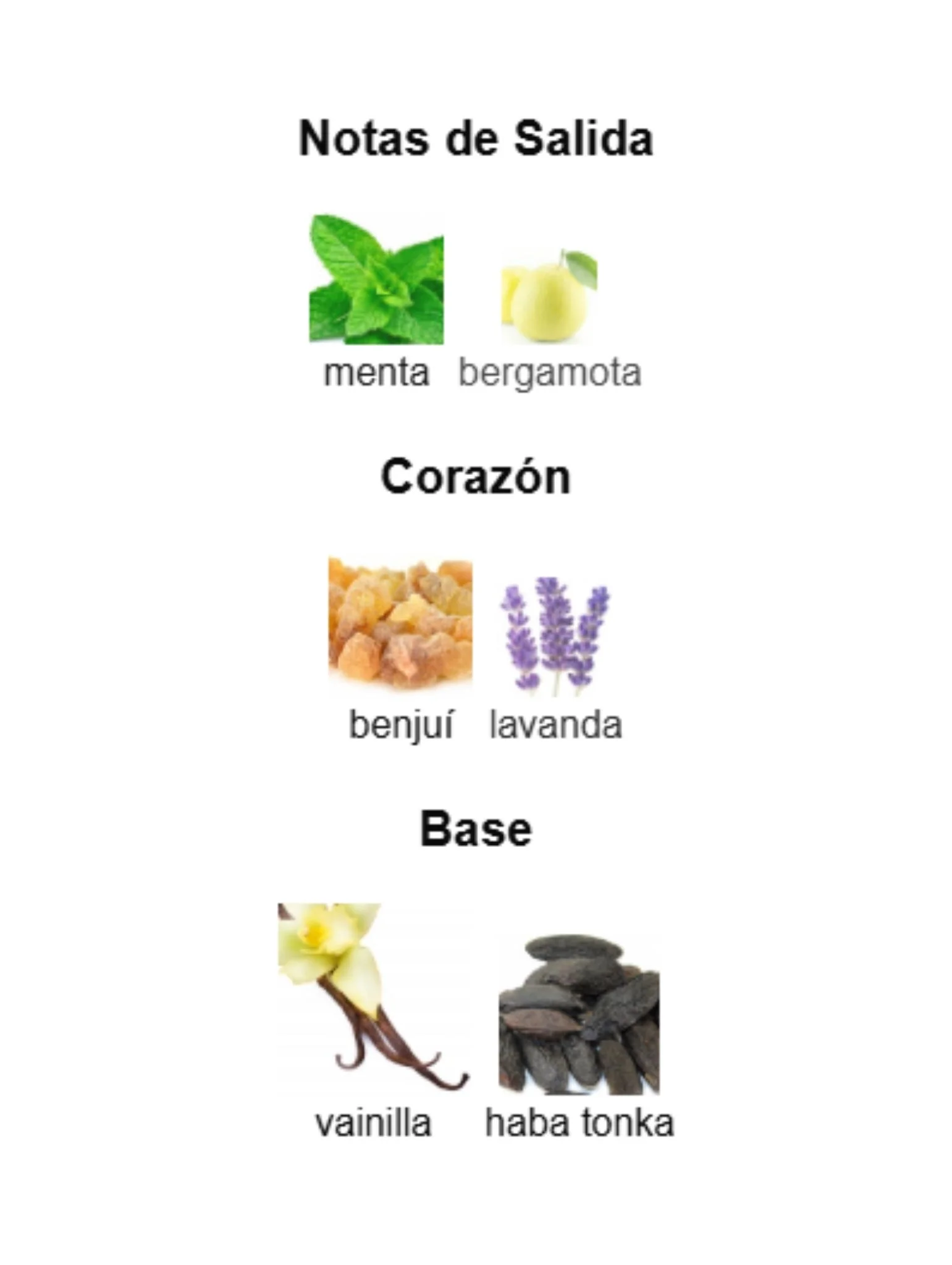 Rayhaan Elixir - Rayhaan - Image 3