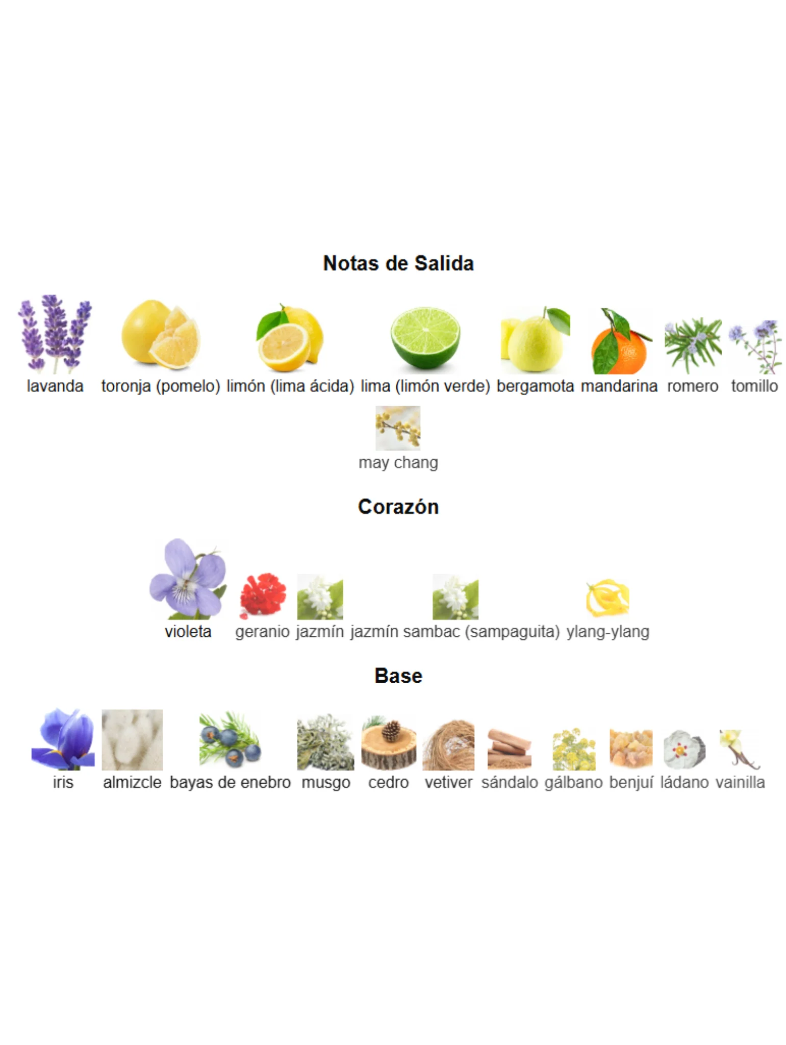 Oceania - Roja Parfums - Image 3