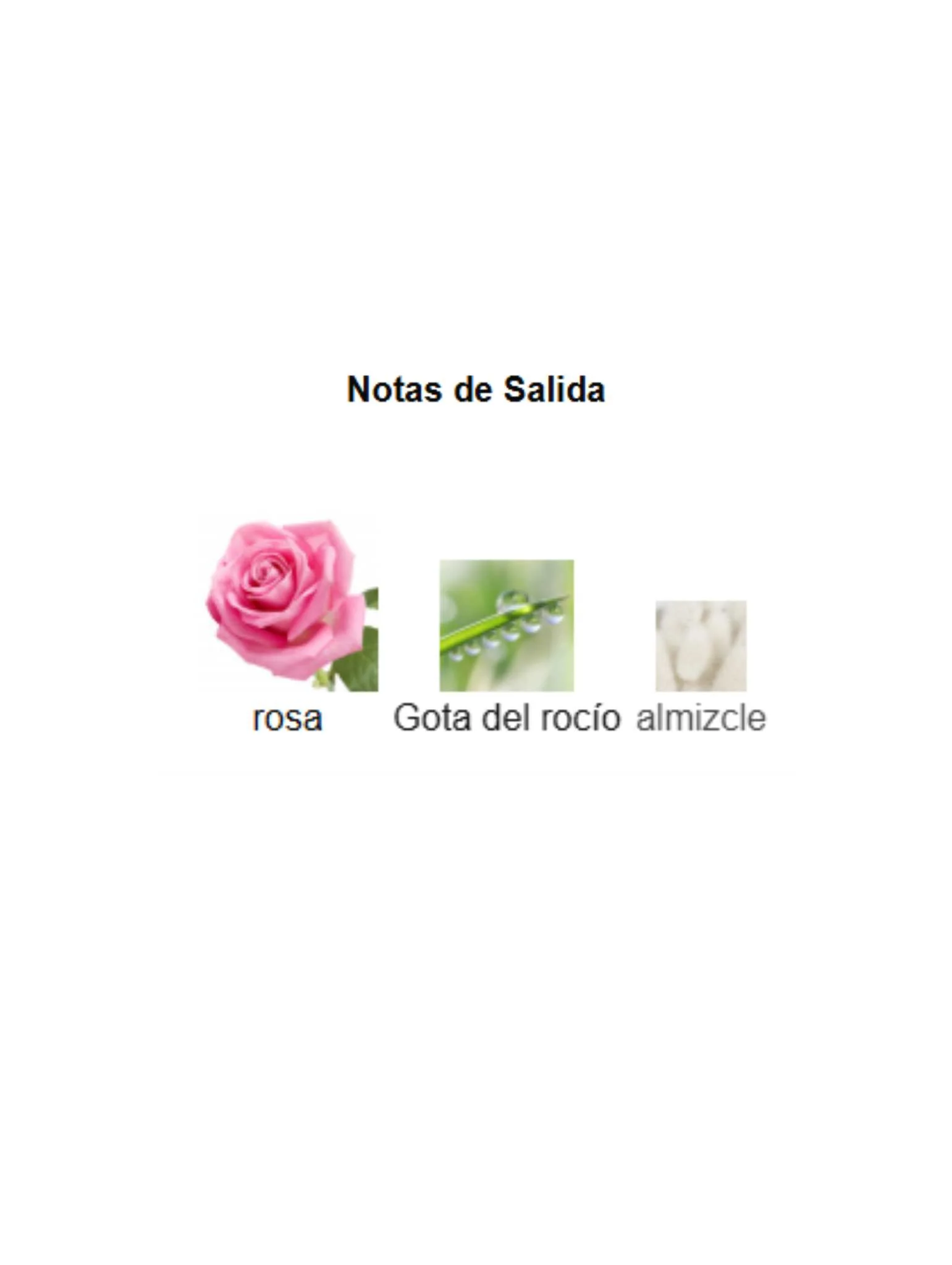 Rose Kabuki - Dior - Image 3