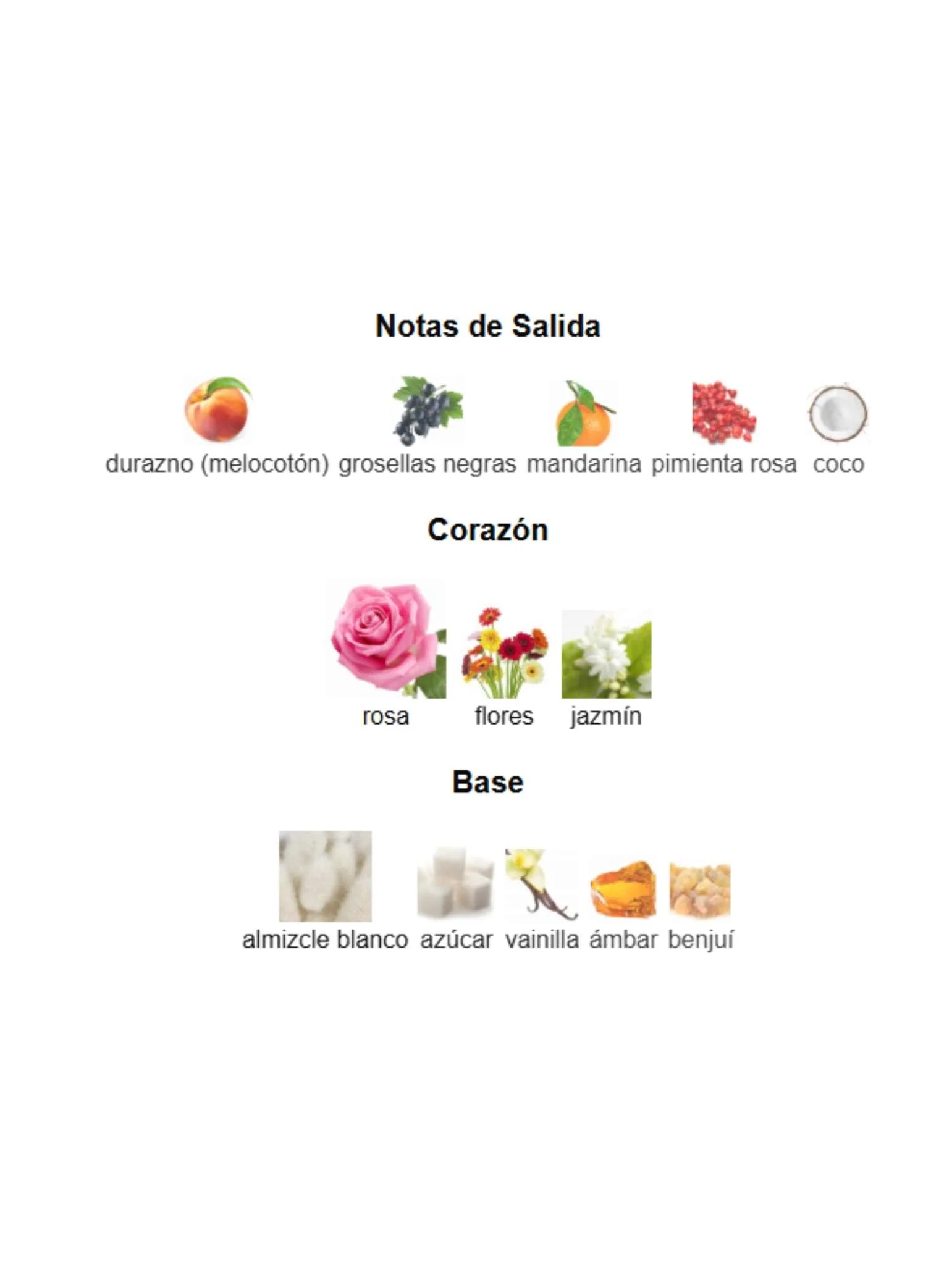 Roses Greedy - Mancera - Image 3