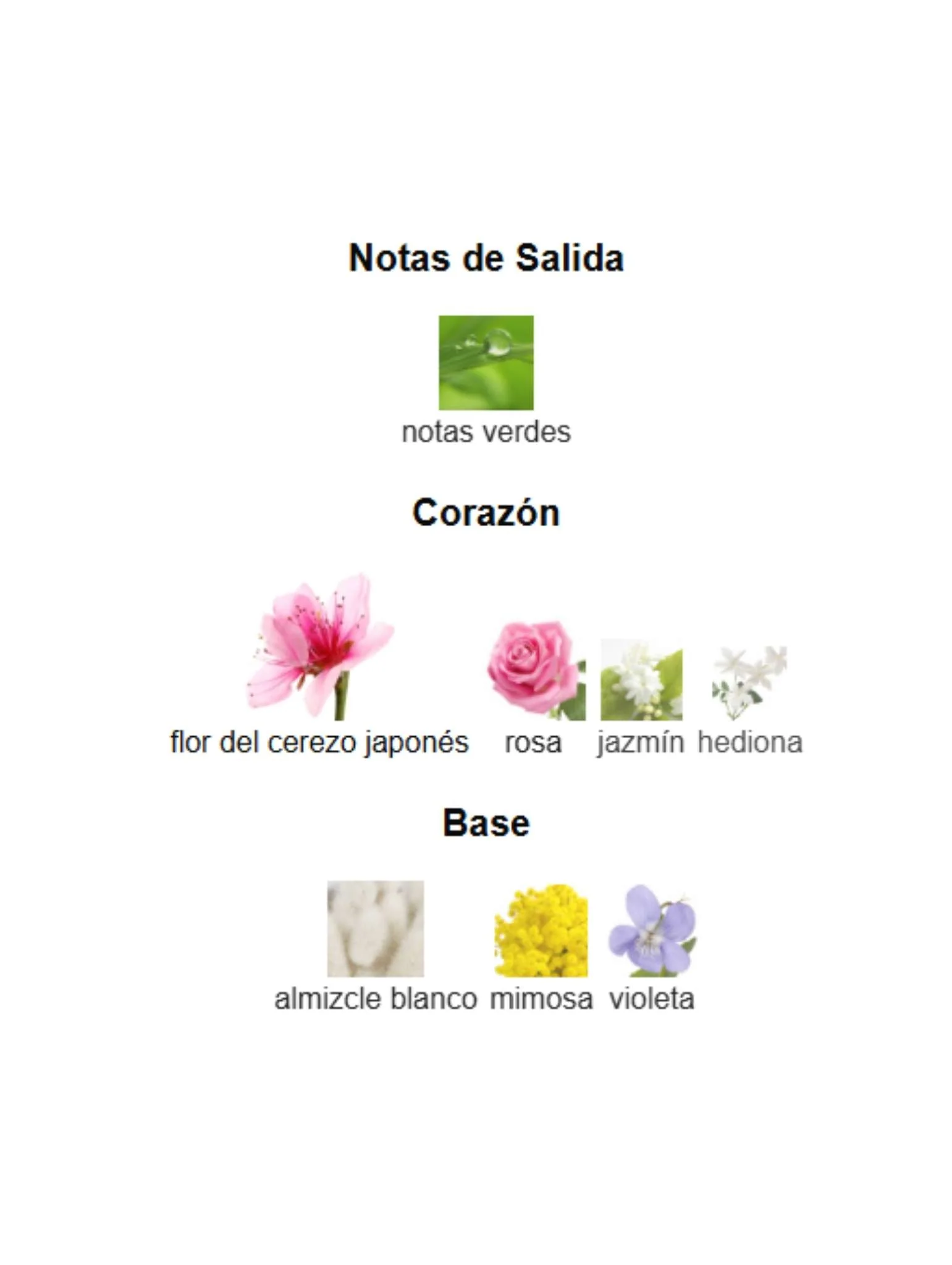 Sakura - Dior - Image 3
