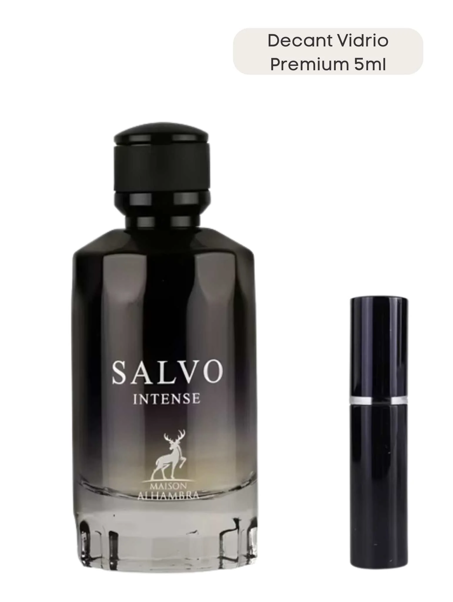 Salvo Intense - Maison Alhambra - Image 5