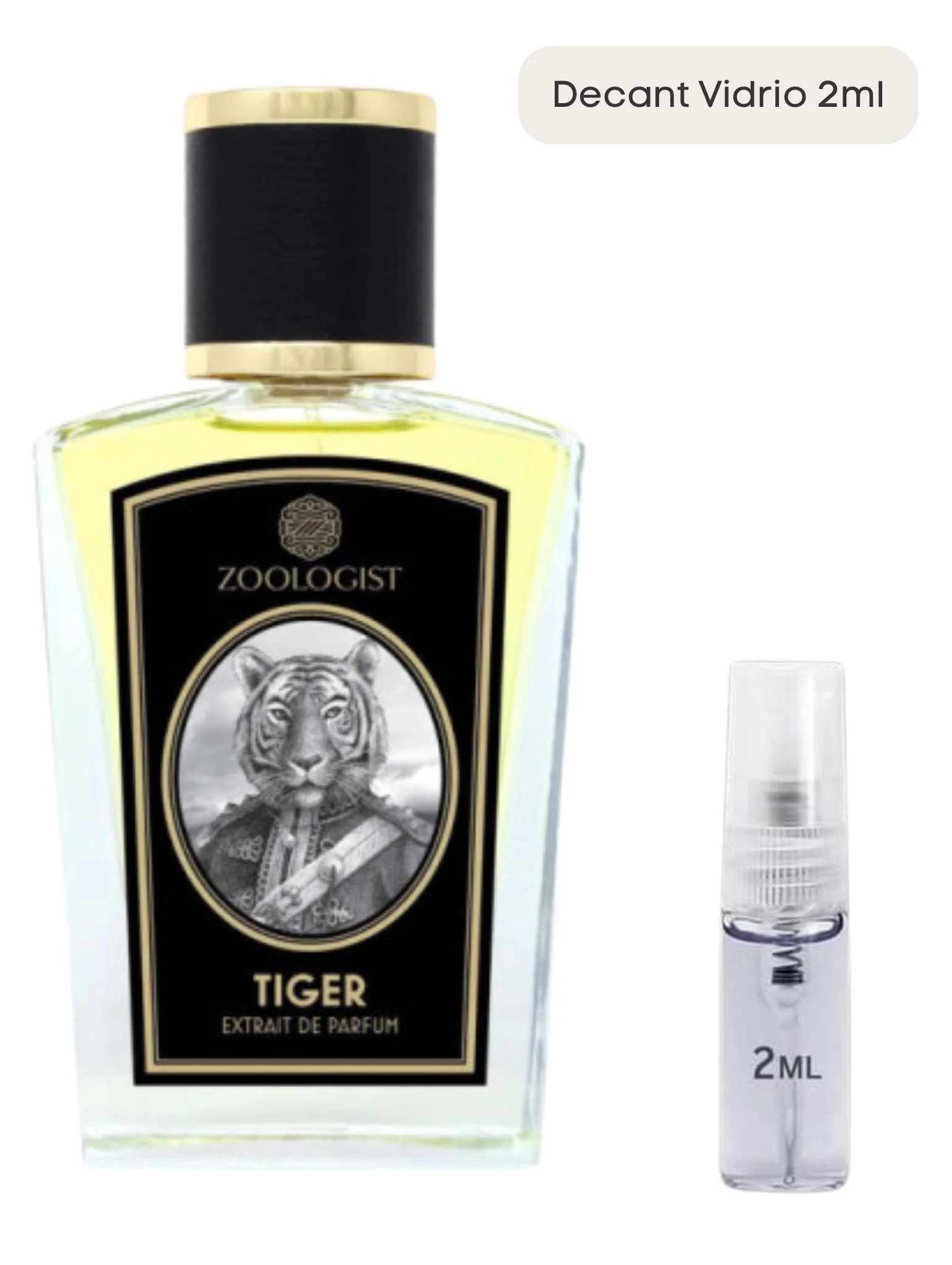 Tiger - Zoologist - Image 4