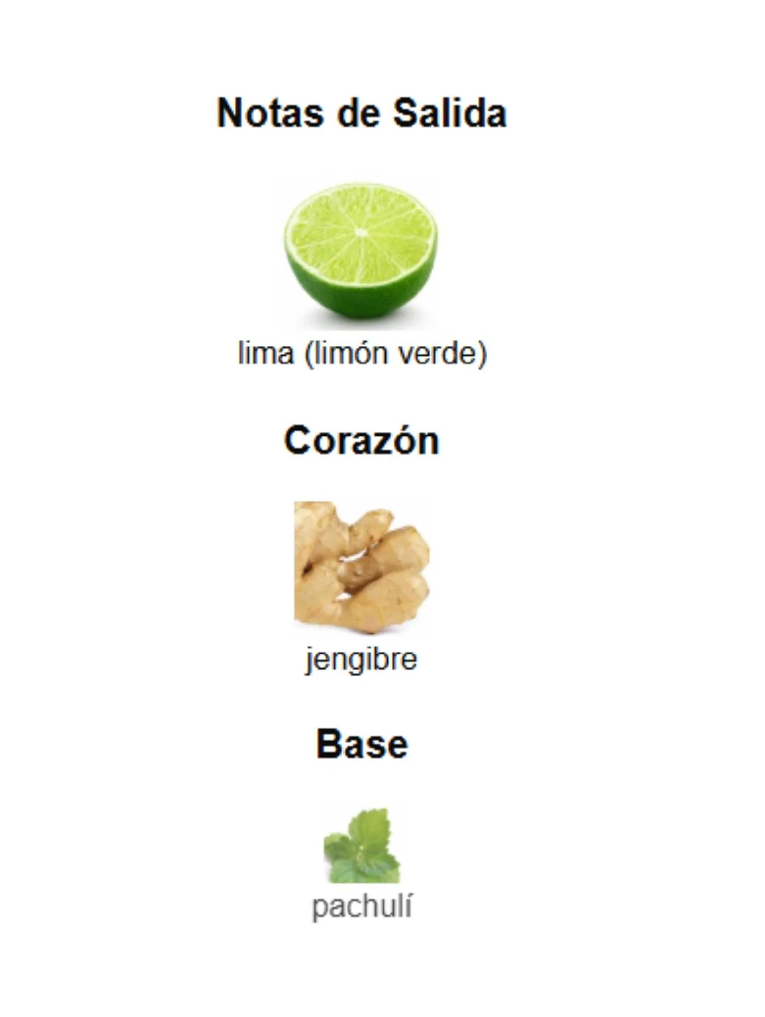 Wanted Tonic - Azzaro - Image 3