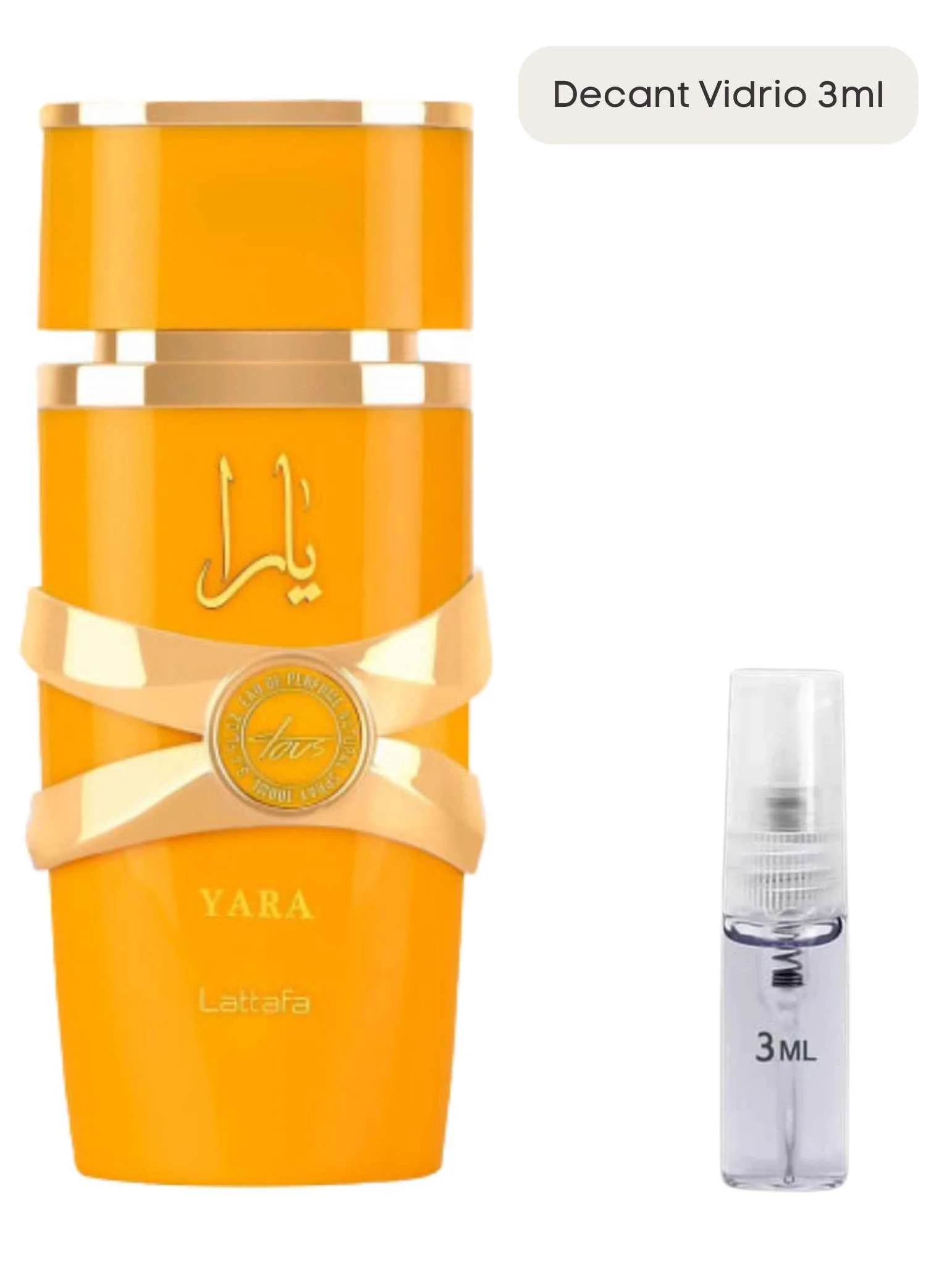 Yara Tous - Lataffa - Image 4
