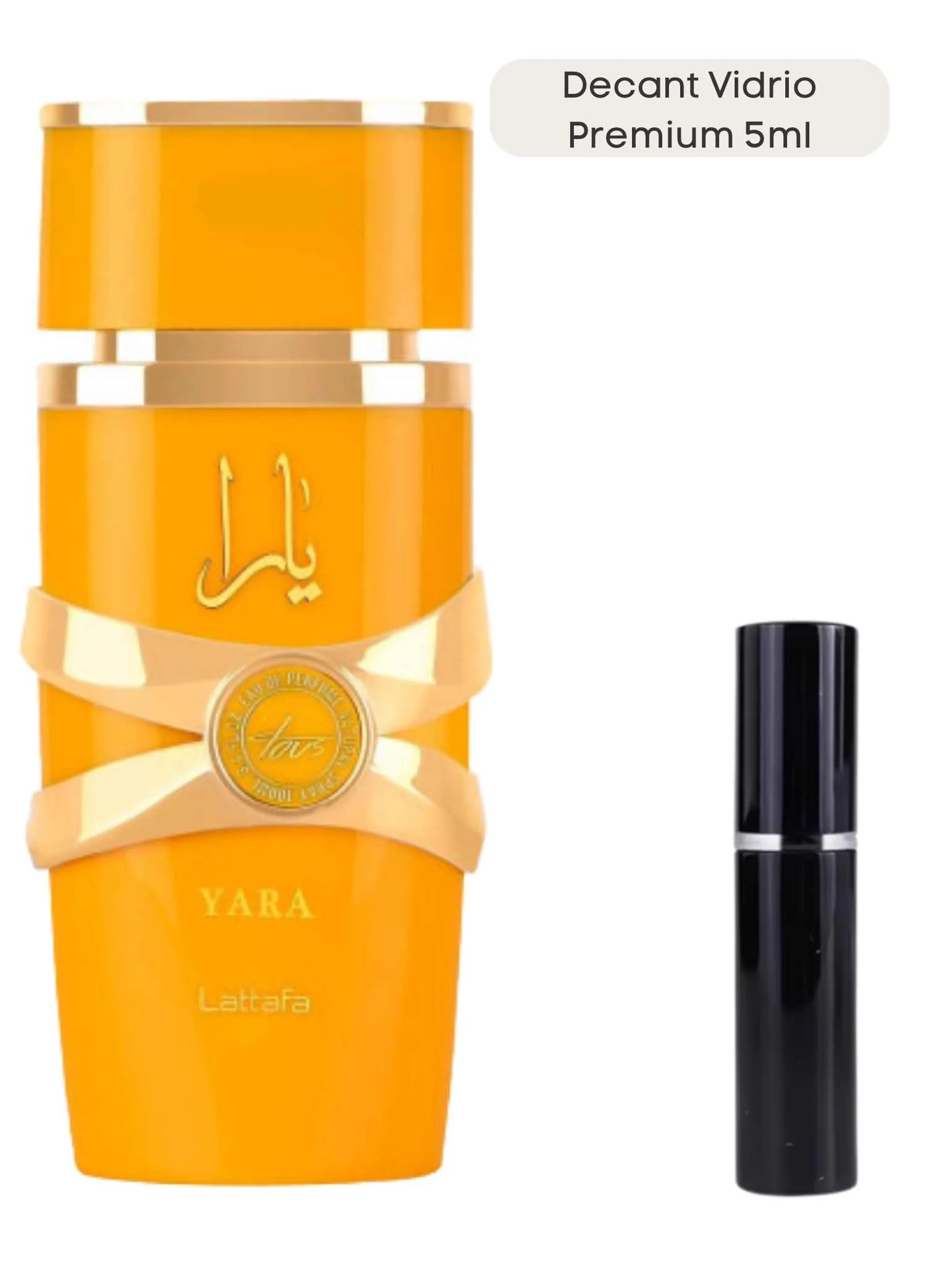 Yara Tous - Lataffa - Image 5