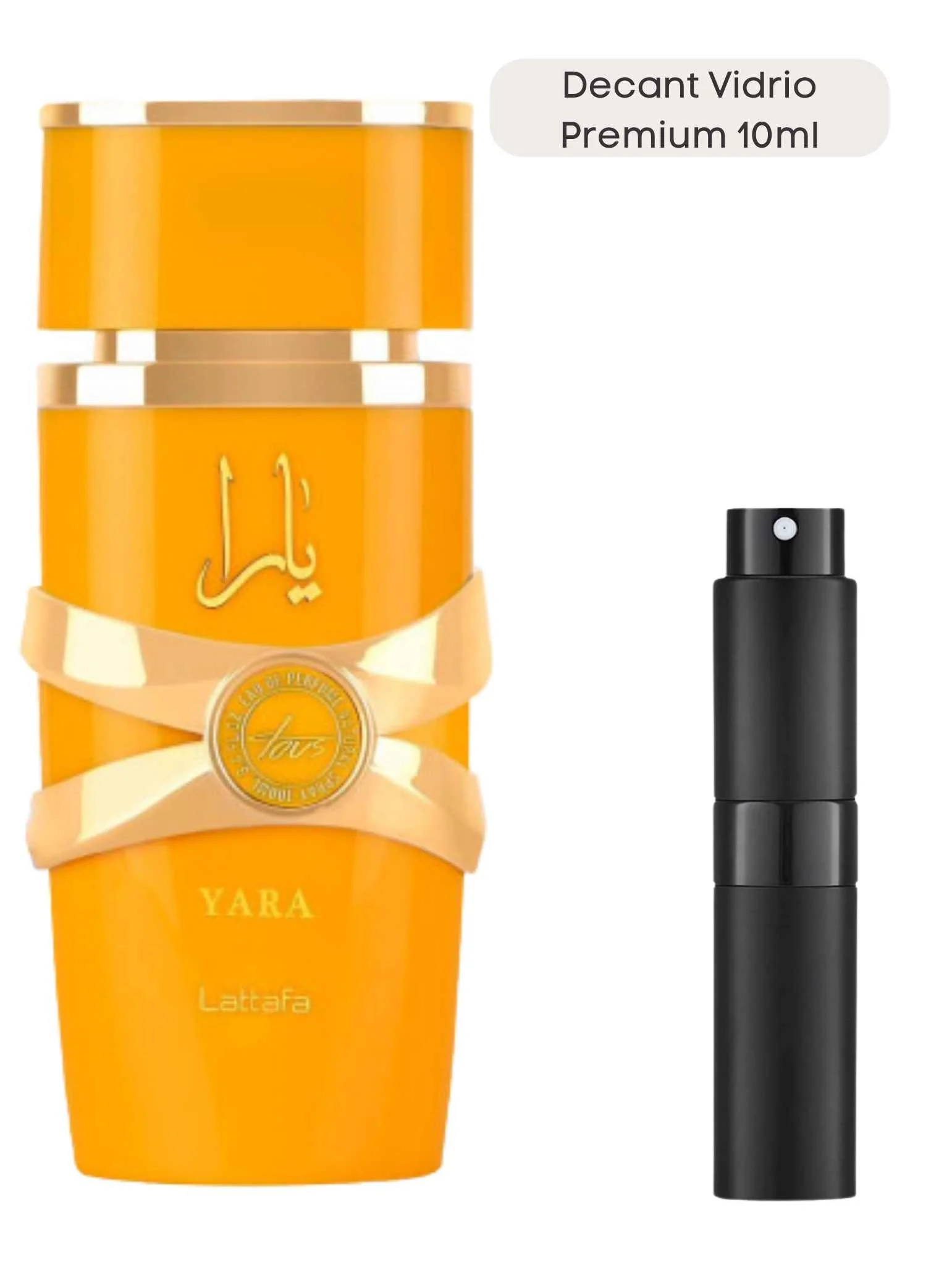 Yara Tous - Lataffa - Image 6